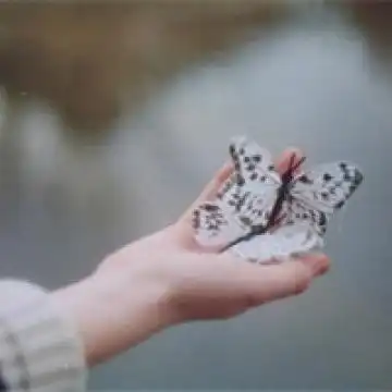 手掌心里的流年