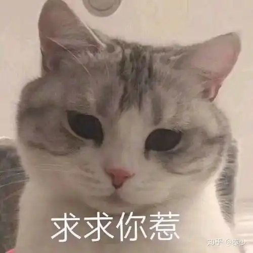 女生和女生都有哪些甜甜的故事啊