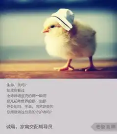 哈哈哈看完咖啡师招聘广告真实版,想转行做家禽交配辅导员
