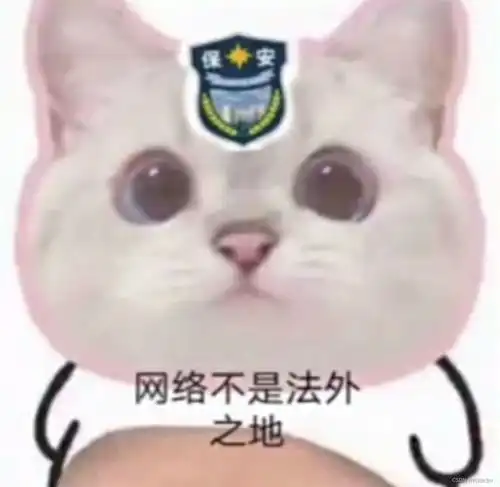 俺妹黑猫表情包沙雕