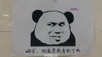 厉害了我的川农大食堂魔性表情包刷爆高校朋友圈