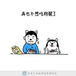 撩妹表情包动图