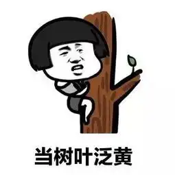 解放了图片表情包搞笑段