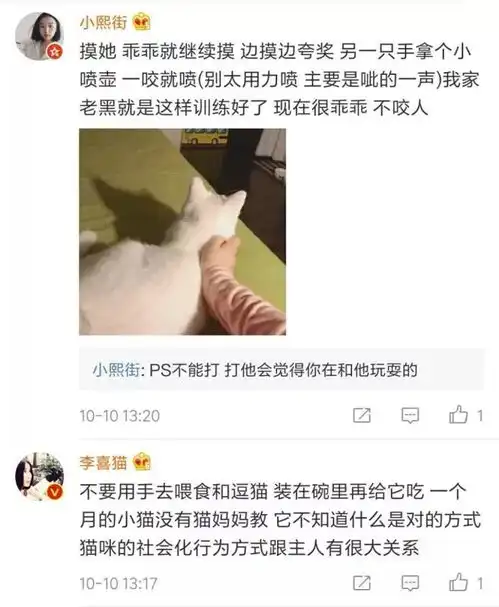 男子脑萎缩死亡死因竟是被家中猫咪抓伤.....吸猫人士注意,这件事绝不能忽视