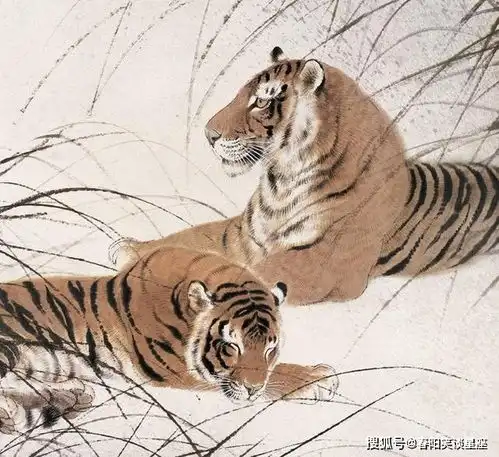 3生肖,中年开始富贵有佳,越老越有福气