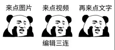吐血巨制记者专用表情包来了