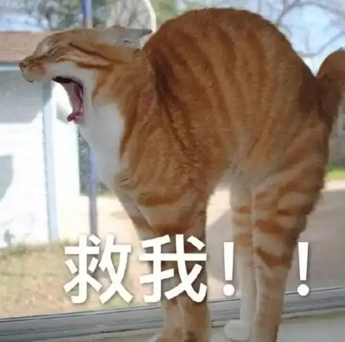 不可逆的视力小偷,我们应该如何应对ta