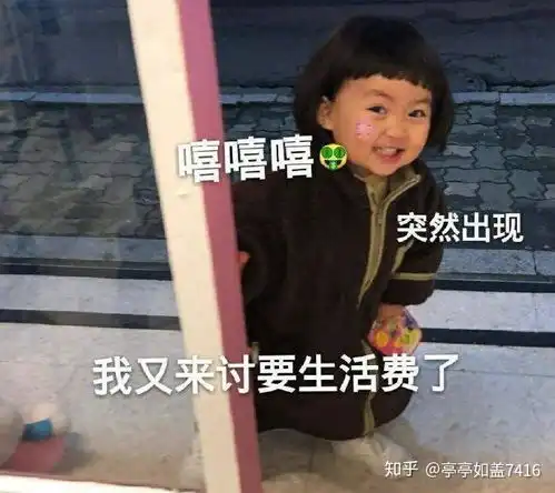 被生活所迫的表情包生活
