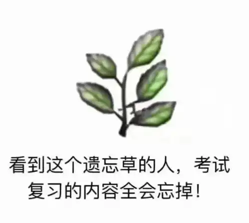 夺笋表情包读书
