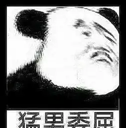 沙雕表情包不够沙雕不配做我的网友,男神沉默了一下
