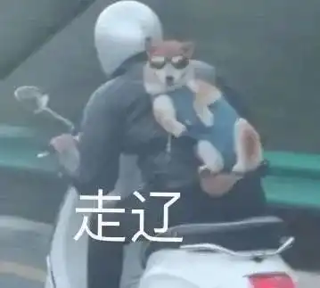 表情包可爱搞笑表情包大全蘑菇头