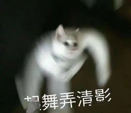 猛虎落地式下跪表情包小