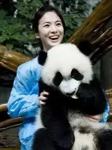 这对cp终于向世人证明,男神女神是可以在一起的