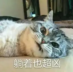 嗷嗷叫的表情包巨凶