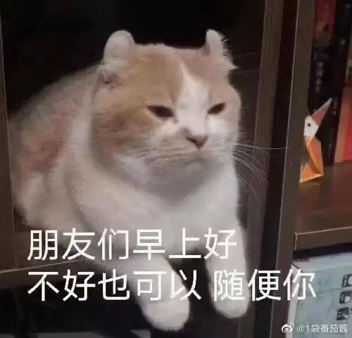 闺蜜在我身边翩翩起舞而我内心只有小龙虾