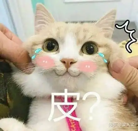 猫猫头表情包可爱