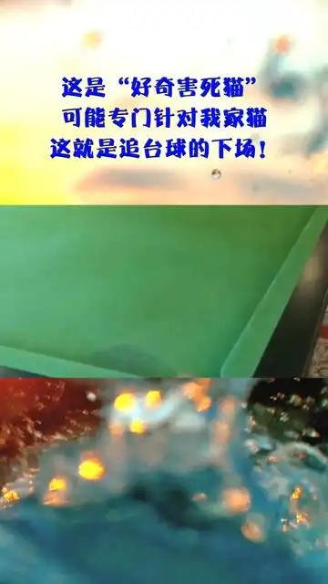这是好奇害死猫,可能专门针对我家猫,这就是追台球的下场