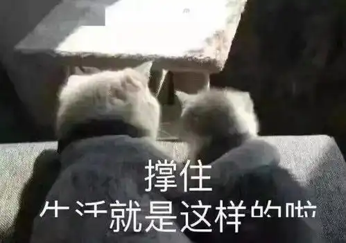 一个葫芦瓜毒倒广东一家4口请注意,这些常见的苦瓜都不能吃