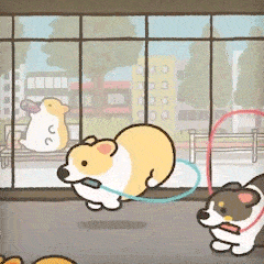 可爱暴击小柯基健身动态表情包