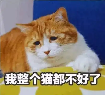 猛虎落地式下跪表情包接