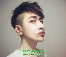 男生硬头发适合什么发型头发硬适合扎的发型