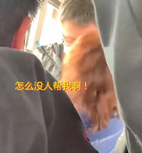 吉林男子公交车上猥亵女子被拍,当众抢手机毁证据,乘客冷漠旁观