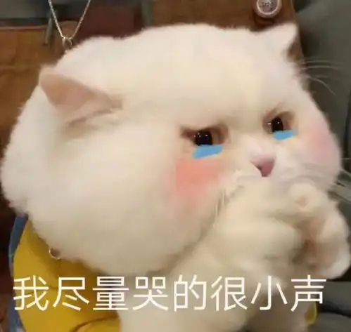 摸鱼鱼表情包什么意思喵