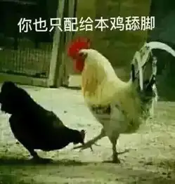 收藏贴鸡年表情包来啦,绝对够收藏水平哦