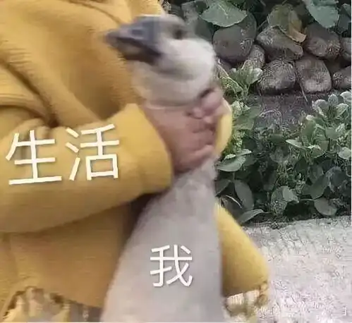 一个妈妈的2018年度总结,扎心说的是我本人没错了...