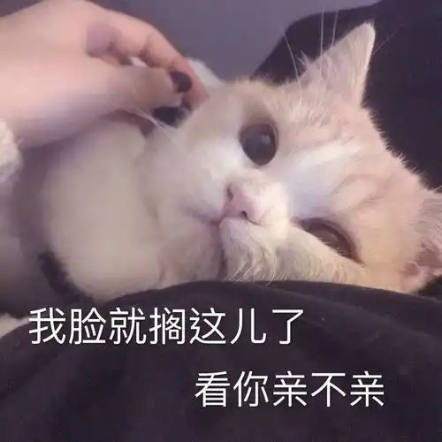 有没有想要甜甜的恋爱这种的表情包