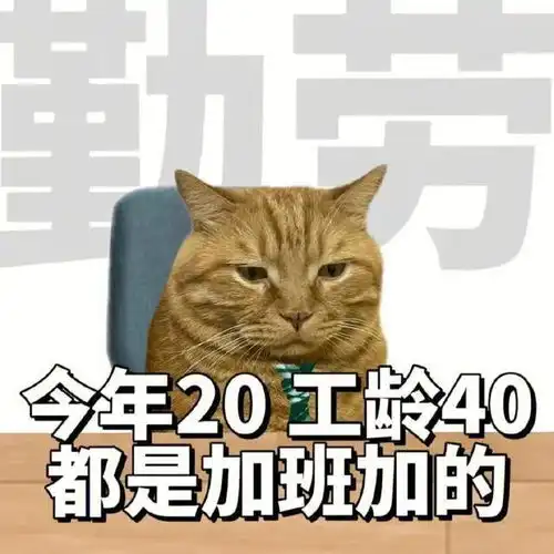 打工猫咪表情包
