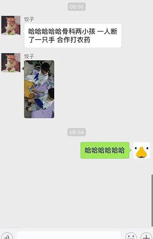 搞笑gif好奇害死猫啊,而且还容易招打,哈哈哈