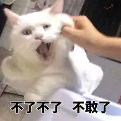 首张200元罚单柳州有人在市区放鞭炮挨了赶紧举报