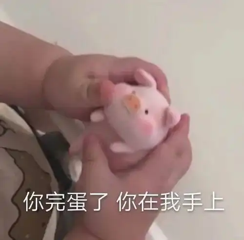 表情包生活无奈,但我得保持可爱