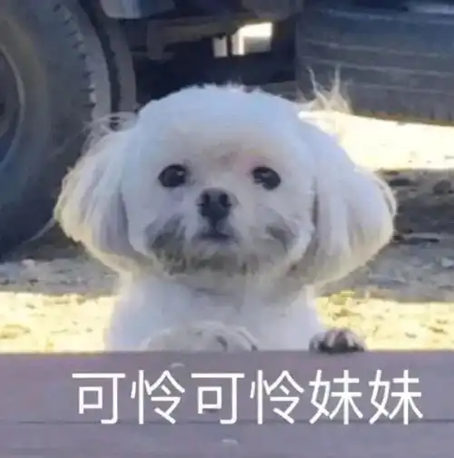 次粉机器人能不能帮忙找个动图
