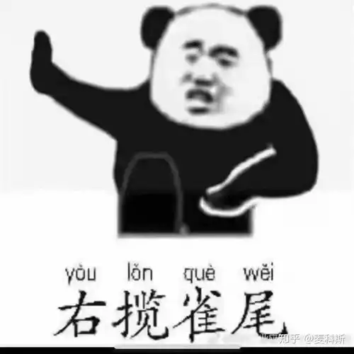 暴漫熊猫人表情包打太极