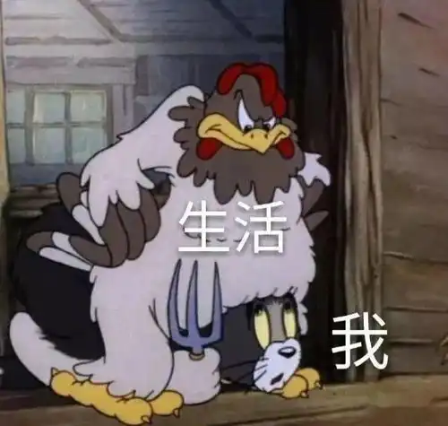 母猪图片表情包找个人
