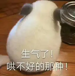 森迷湘湘照片森迷湘湘相册大全yy官方