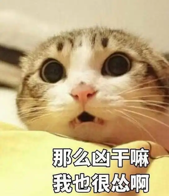 猫猫头表情包配音