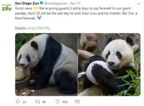 水豚人缘好可不是说说而已,半个动物圈都快被它承包了