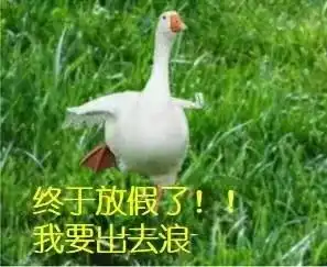 快乐过暑假,安全不放假,暑假出行提示请查收