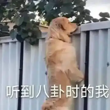 表情包胖子图片大全胖嘟