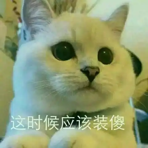 女生最喜欢男生亲自己哪里