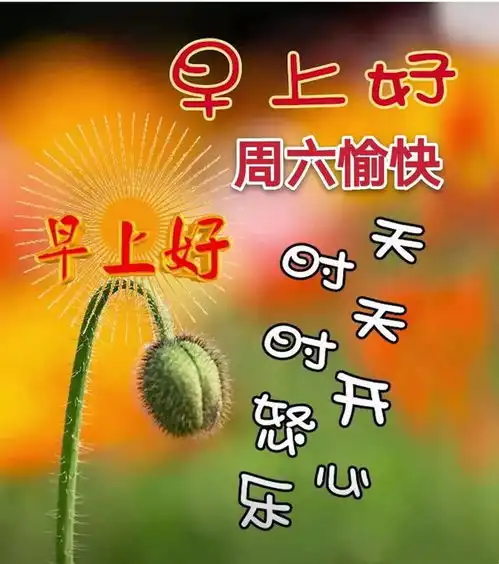 早上好问候祝福动态表情图片立秋最新早安问候语动态图片表情
