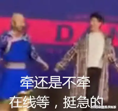 杨洋今日高能瞬间想触碰又收回的手两位钢铁直男的互相试探