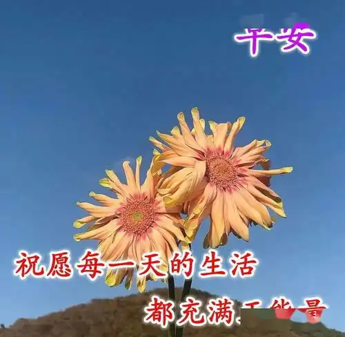 周日早上好,接受自己,爱自己,过去的都会过去,该来的都在路上早安生活