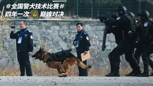 很萌,但很猛