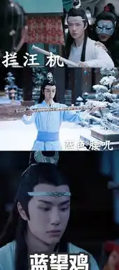蓝忘机最佳表情包,拦网叽最厉害,专业联网十六年