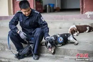 警犬表情包猛犬还是萌犬