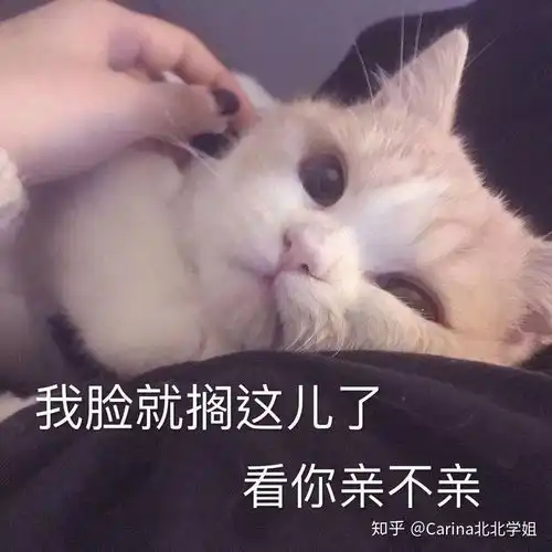 高一应如何高效学习